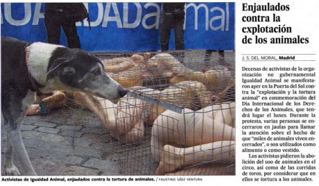 Repercusión Día Int. de los Derechos Animales 2007 - El País Repercusión Día Int. de los Derechos Animales 2007 - El País