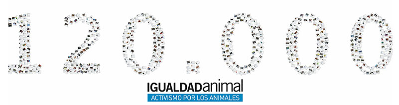 Haz click en la imagen y navega por nuestro trabajo de difusión en Facebook Click en la foto para ampliar y navegar por nuestra difusión en Facebook