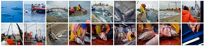 Galería de fotos en Flickr