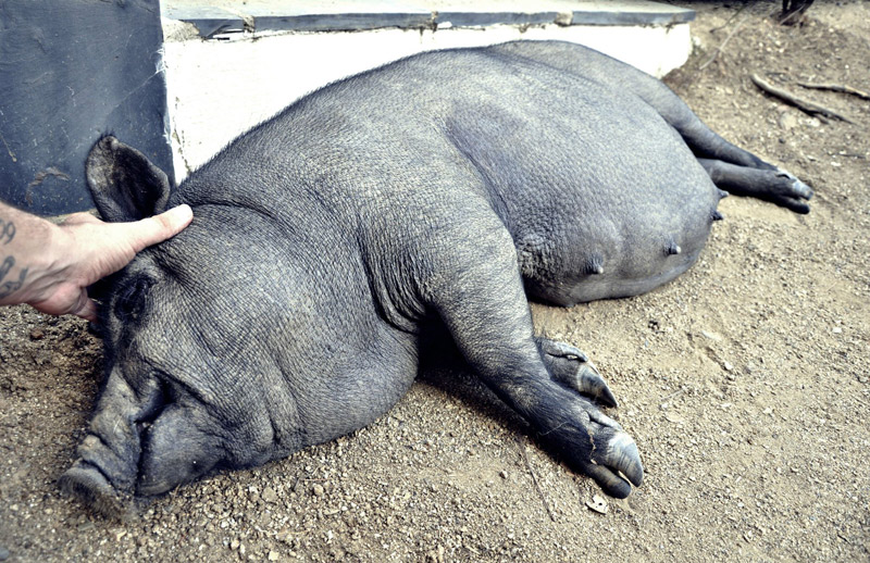 Palma recién llegada a su hogar, junto a Ismael