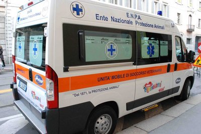 Ambulancia para animales en Italia