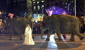 Cabalgata de Reyes en Madrid | Foto enviada por Laura A.