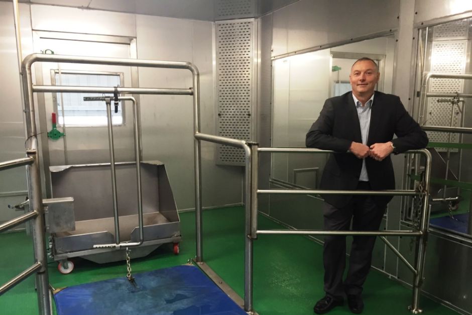 Encierran a vacas en habitaciones a 30 grados durante días para estudiar cómo obtener más beneficios económicos 5