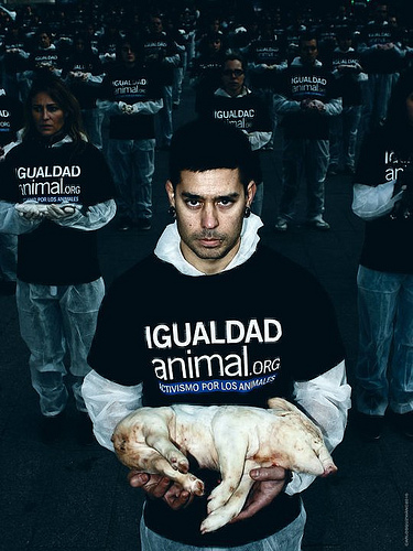 Día Internacional de los Derechos Animales