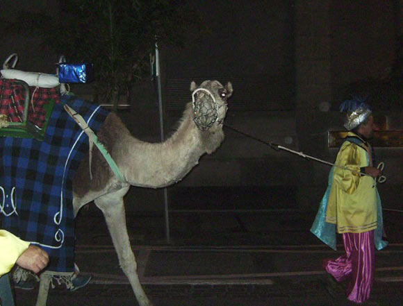 Cabalgata de Reyes en Santa Cruz de Tenerife | Foto enviada por Raquel A.