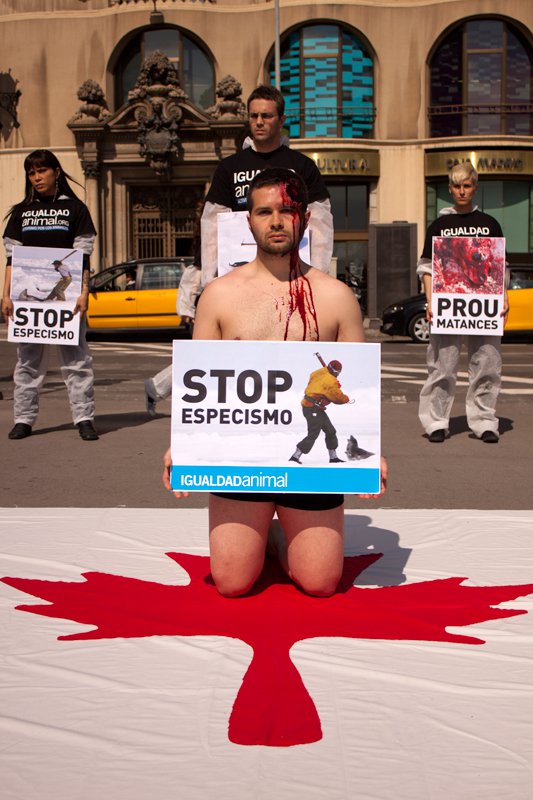 Acto Igualdad Animal ante embajada Canadá