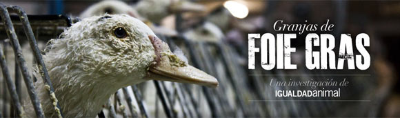 Firma por la prohibición del foie gras