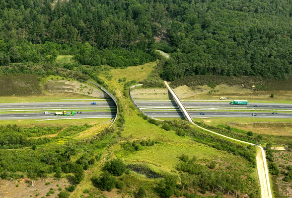 Ecoducto "El Borkeld", en Países Bajos, uno de los primeros países en implementar una red de pasos de fauna